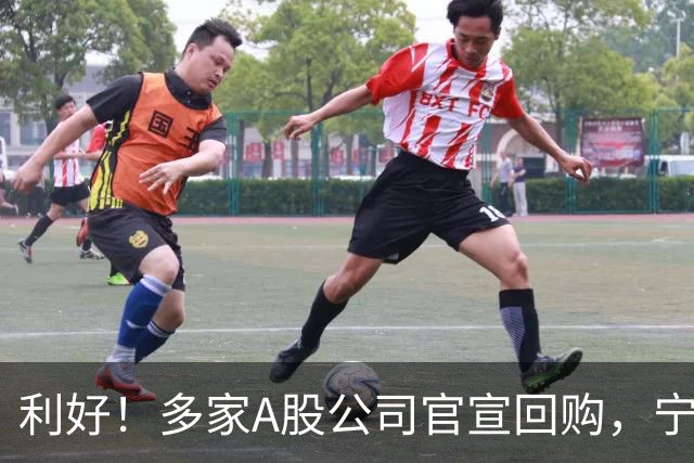 利好!多家A股公司官宣回购,宁德时代单日买入8亿元